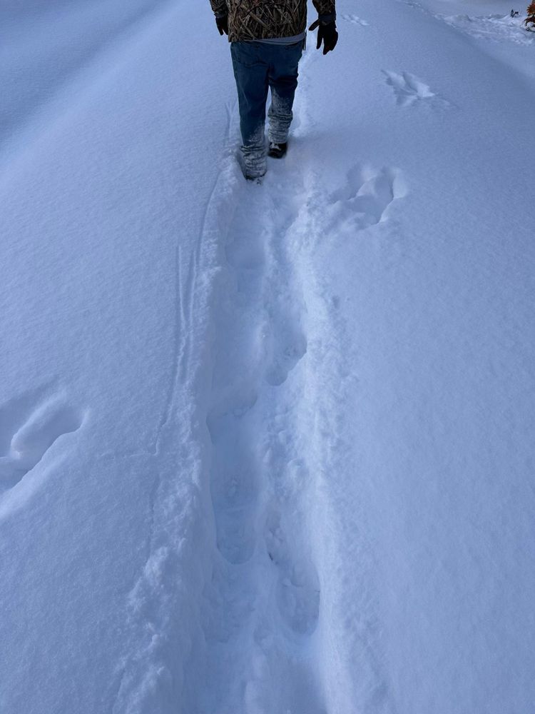 All Photos for The Dailey Daisy in Hardwick, VT