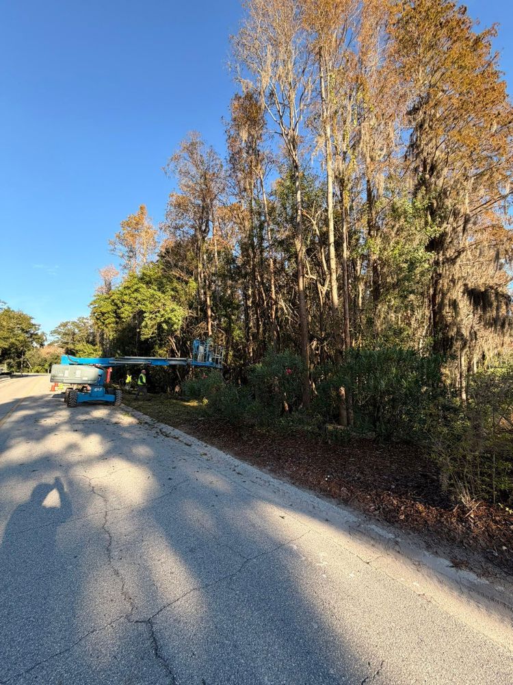 All Photos for EB Trees and Landscape in Lutz, FL