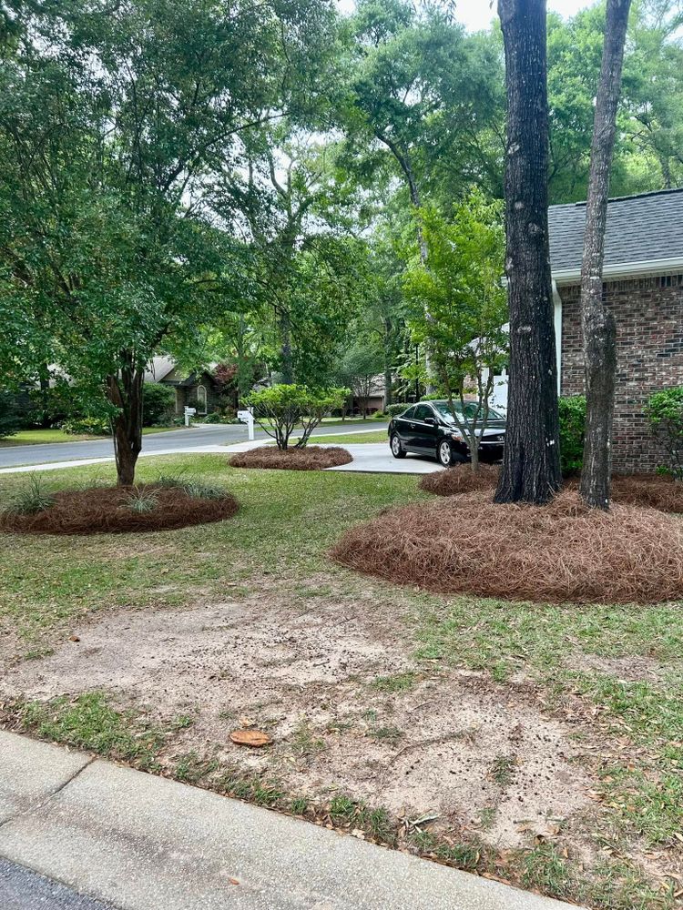 All Photos for Old Florida Lawncare in Baker, FL