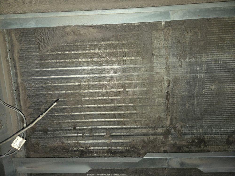All Photos for Tiger Shark HVAC in Norwell, MA