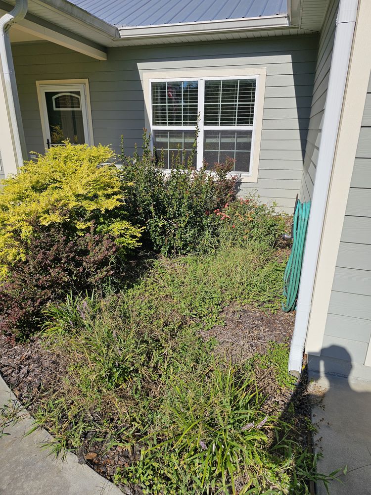 All Photos for Deeper Roots Landscape in High Springs, FL