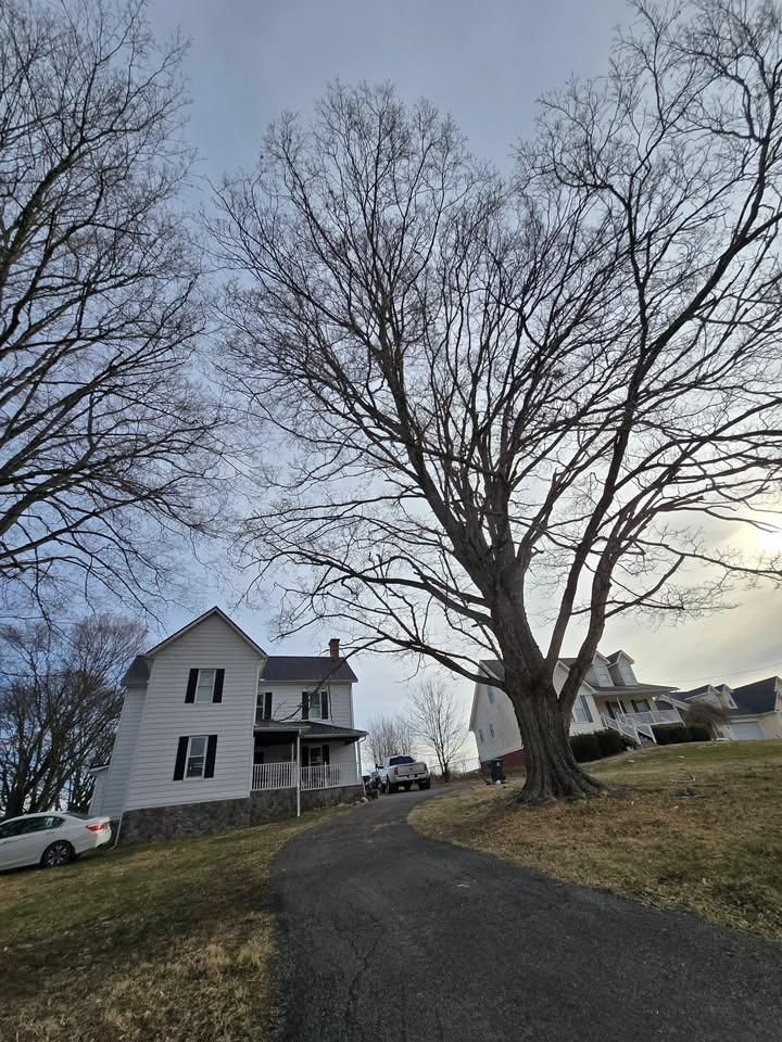 All Photos for M&L Lumber and Excavating in Jonesborough, TN