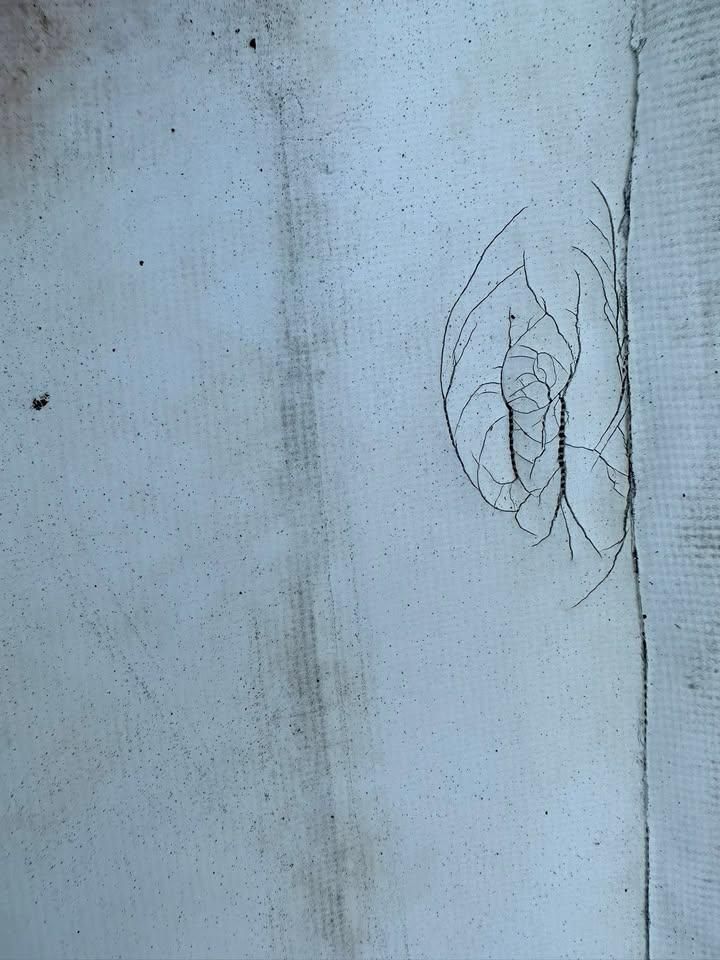 All Photos for Best Buy Roofing in Port Orange, FL