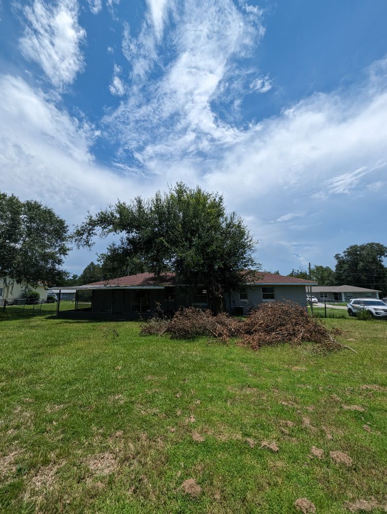 All Photos for Regal Tree Service and Stump Grinding in Wauchula, FL