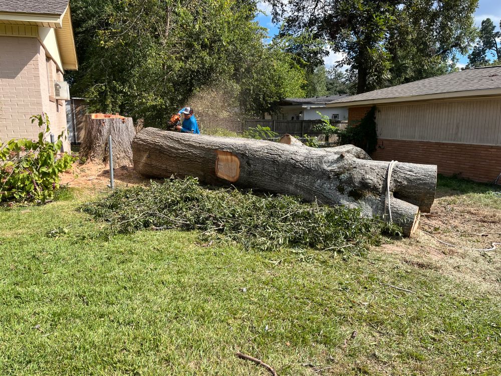 All Photos for JC Land and Tree Service in Kilgore, TX