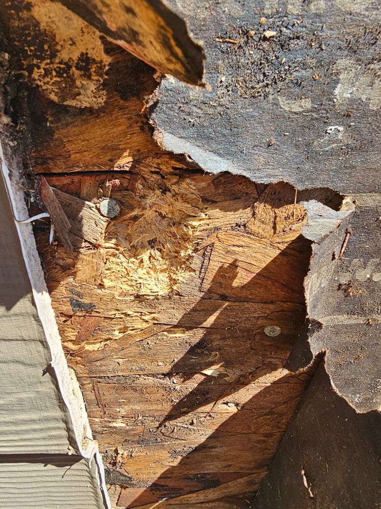 All Photos for Home Pros in Maple Falls, WA