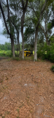 Enhance your landscape with our professional mulch installation service. We provide high-quality mulch that retains moisture, suppresses weeds, and enriches soil health, ensuring vibrant plant growth and a pristine garden appearance. for All Seasons Tree and Land Works in Trenton, FL