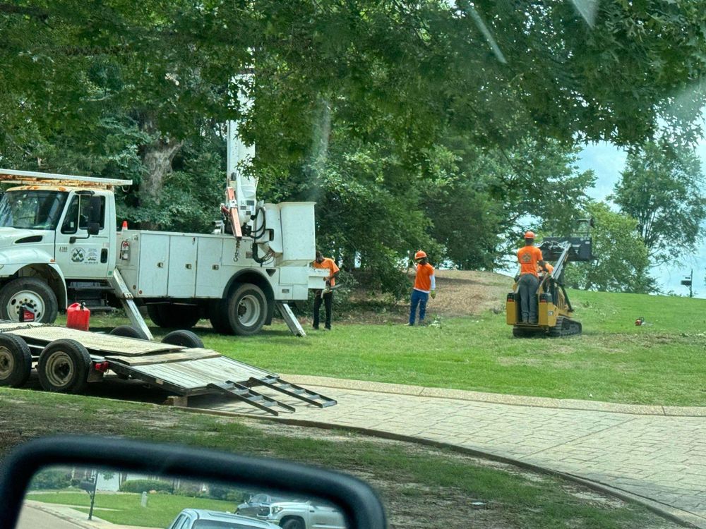 All Photos for Action Tree & Debris Removal in Jackson,  MS