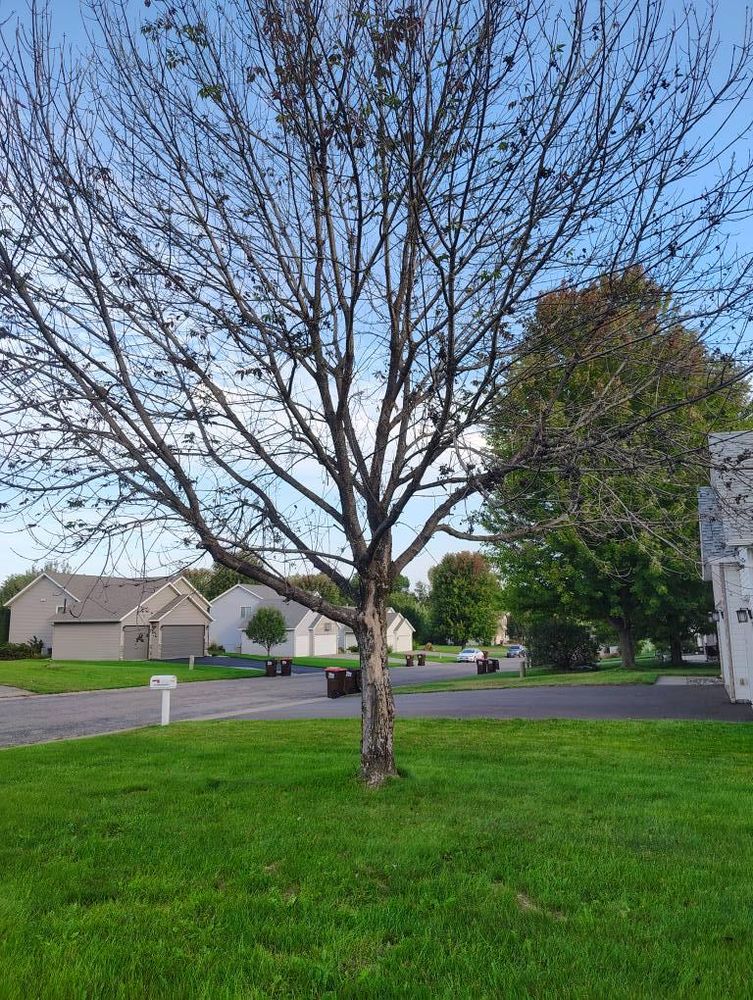 All Photos for Big River lawn Care services and snow LLC in Wausau, WI