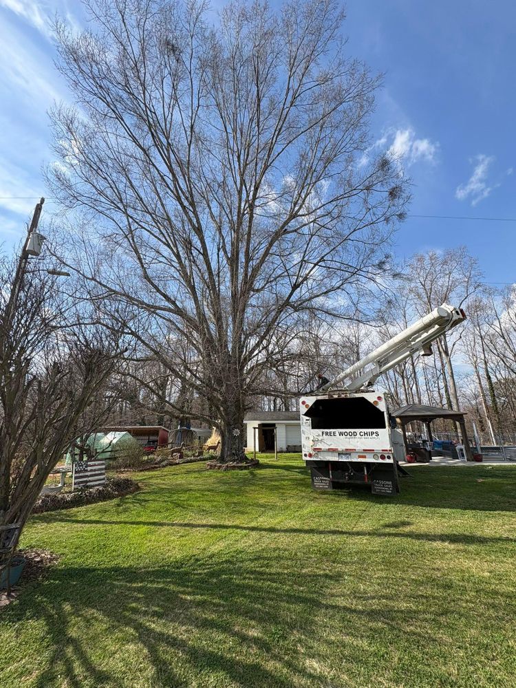 All Photos for Brooks Tree Service in Casar, NC