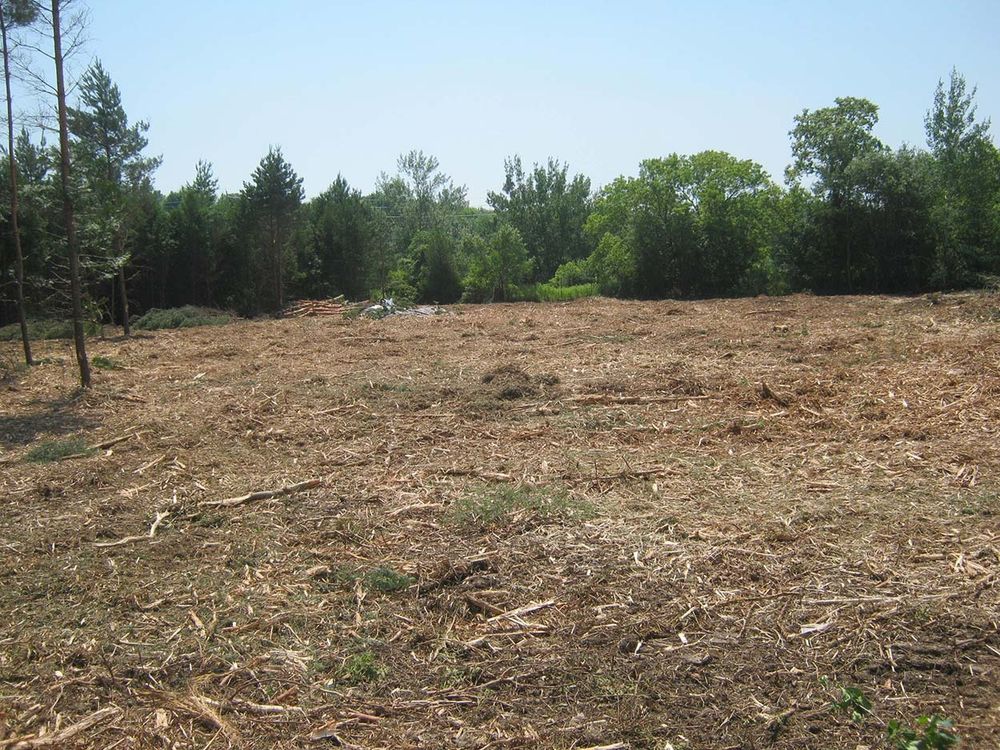 All Photos for Blu-J Tree Care in Arlington, TX