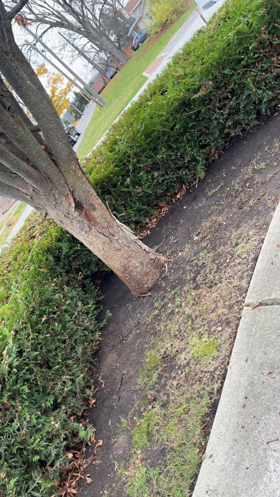 All Photos for Quick Removal Solutions in Lansing, MI