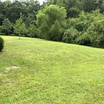 All Photos for Lawn Dog Mowing and Lawn Services in Panama City, FL