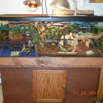 Custom Terrarium and Aquarium Stands  for J & S Handyman Services in Aumsville, OR