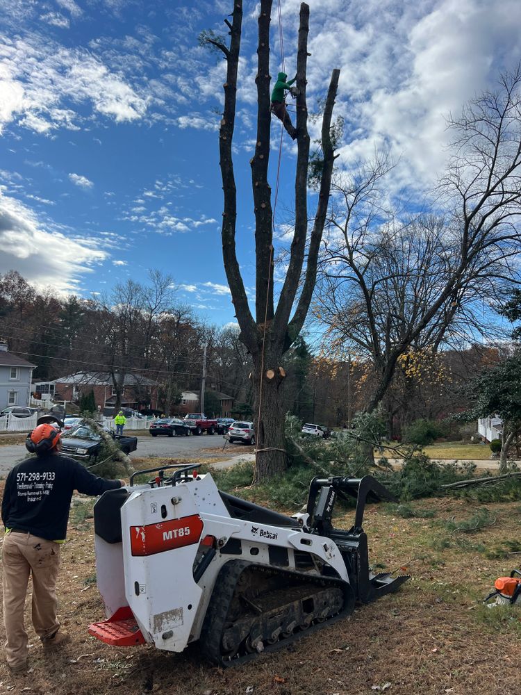 All Photos for DIAZ TREE in Stafford, VA