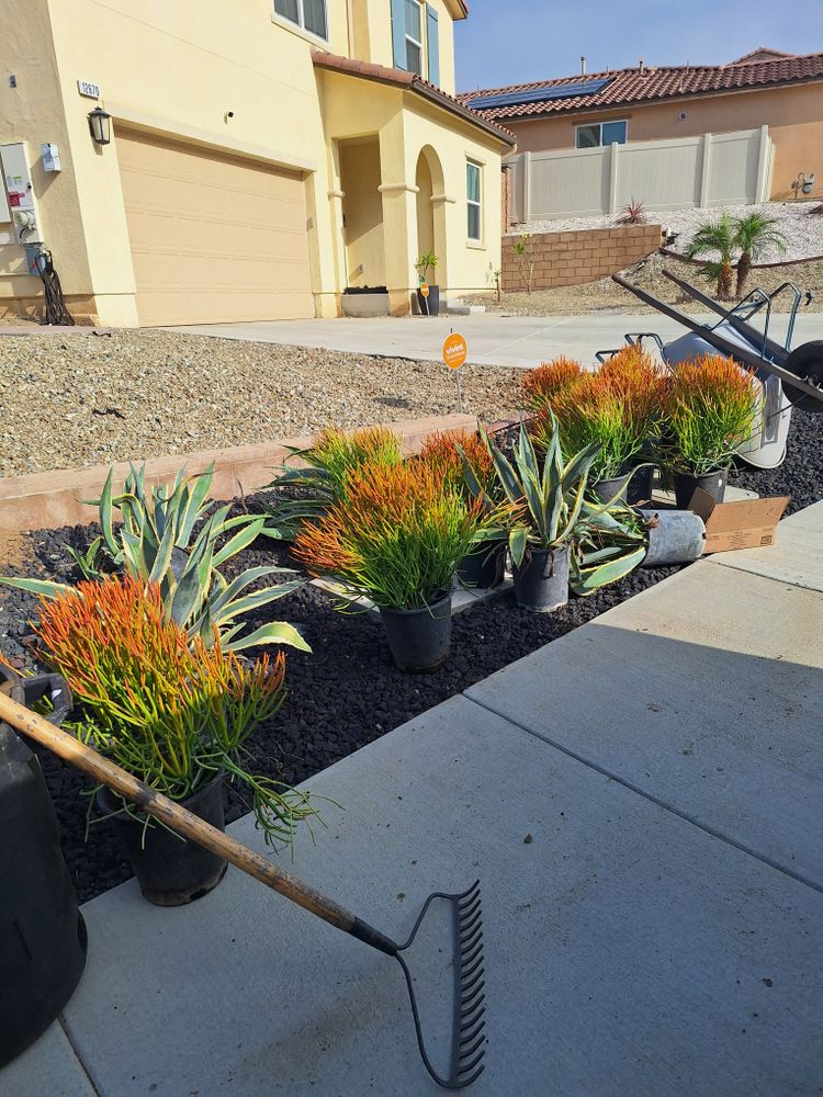 All Photos for Best Lawncare in Colton, CA