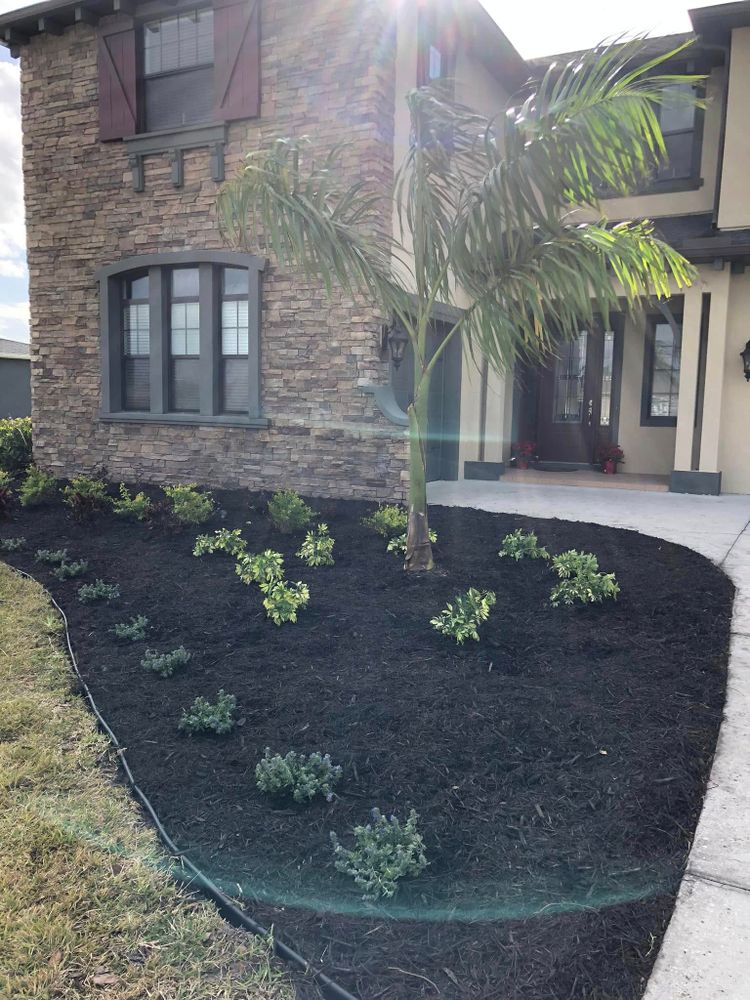 All Photos for MJK Landscaping LLC in Wesley Chapel, FL