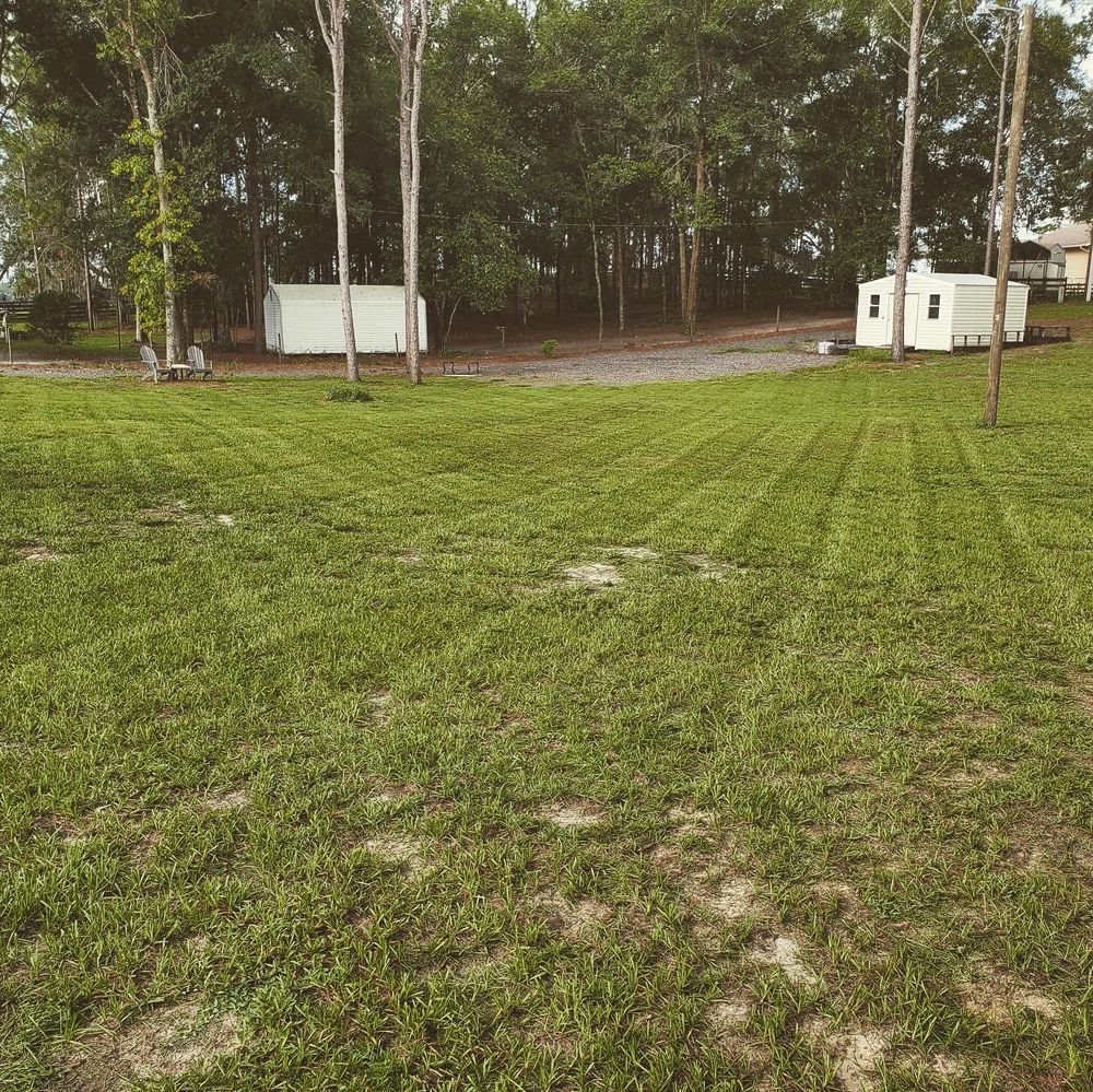 All Photos for Village Lawn Services LLC in Lake Panasoffkee, FL