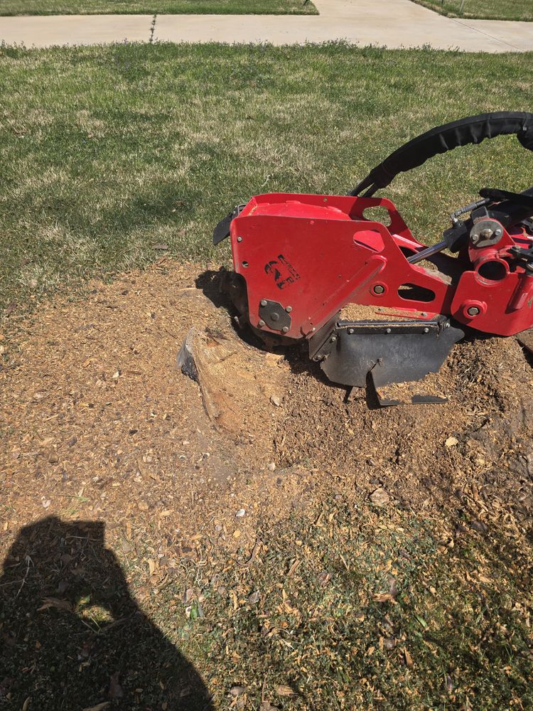 All Photos for Green Pastures Lawn Care in Bastrop, TX