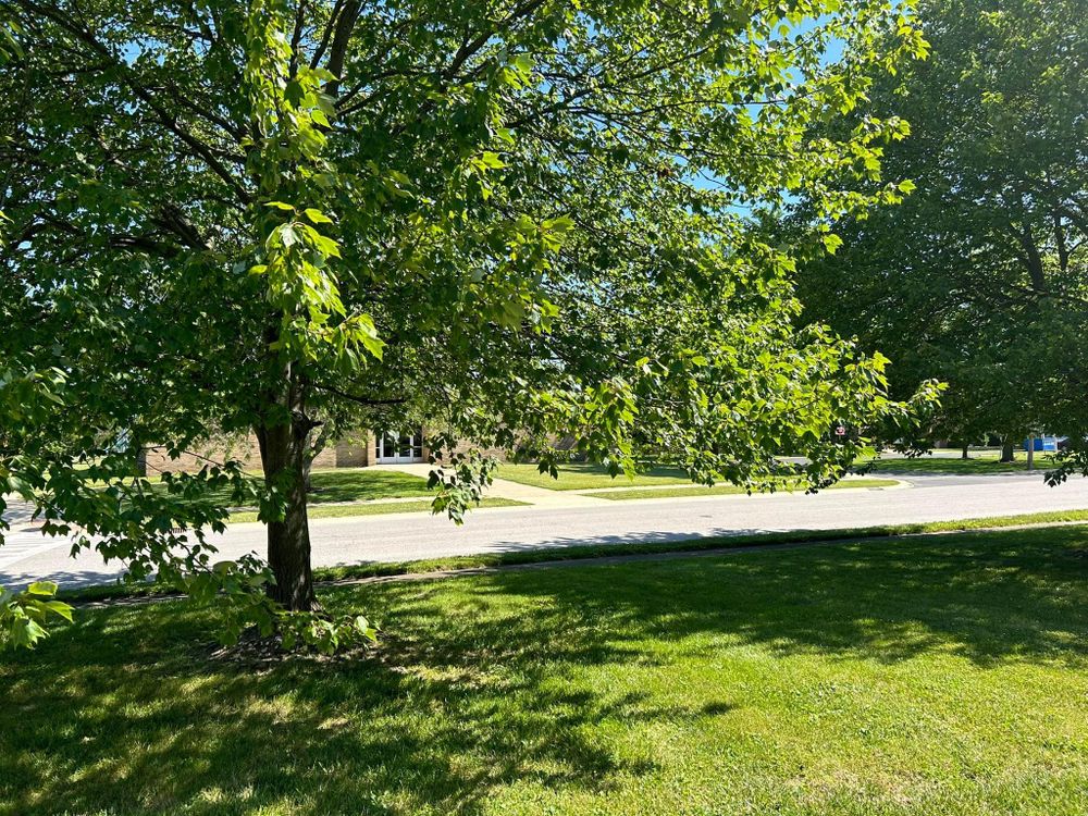 All Photos for Bearforce Lawn Care LLC in Greenfield, IN