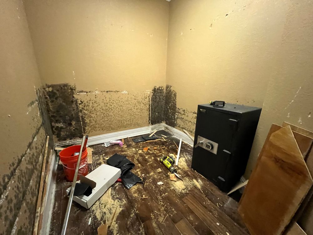 Mold Remediation for N&D Restoration Services When Disaster Attacks, We Come In in Cape Coral,  FL