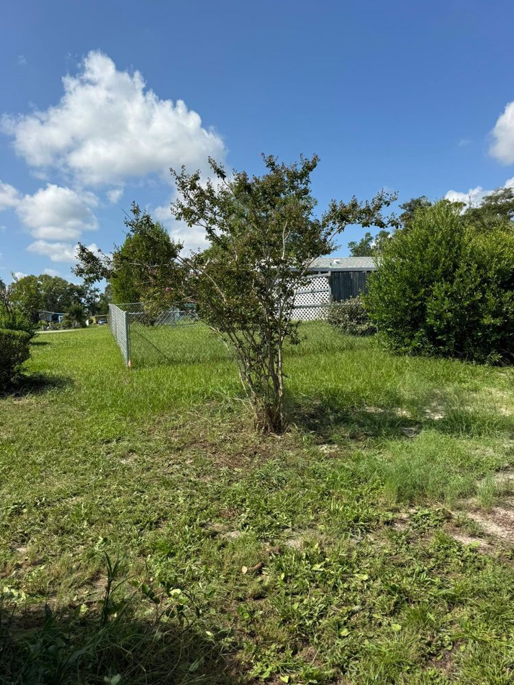 All Photos for Young's Lawn Services LLC in Ocala, FL