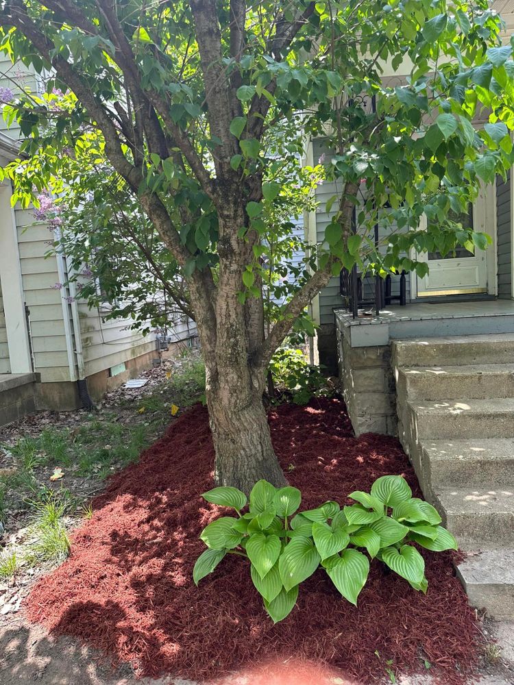 Our Mulch Installation service enhances the appearance of your landscape by adding a layer of protective mulch to garden beds, promoting moisture retention and suppressing weed growth for a beautiful yard. for LJD Lawn Service & Power Washing LLC  in Anna, OH