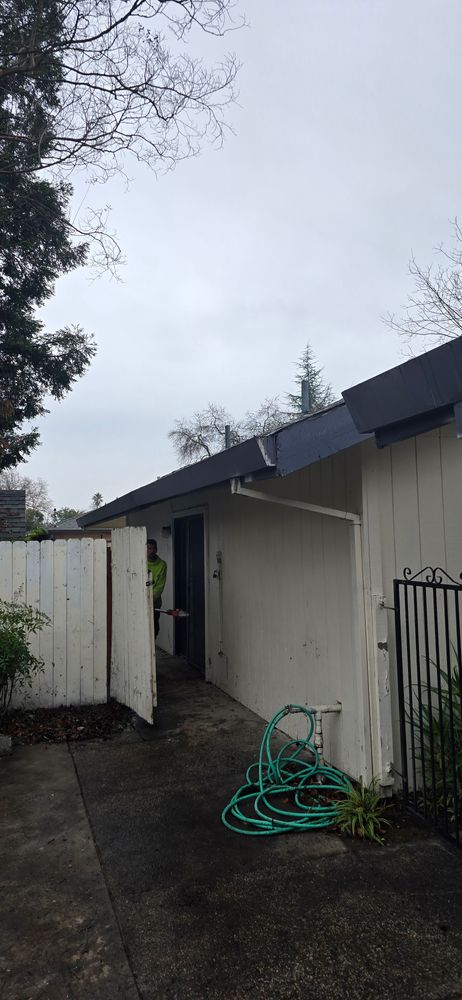 All Photos for George Staddan's Professional Tree Care in Placerville, CA