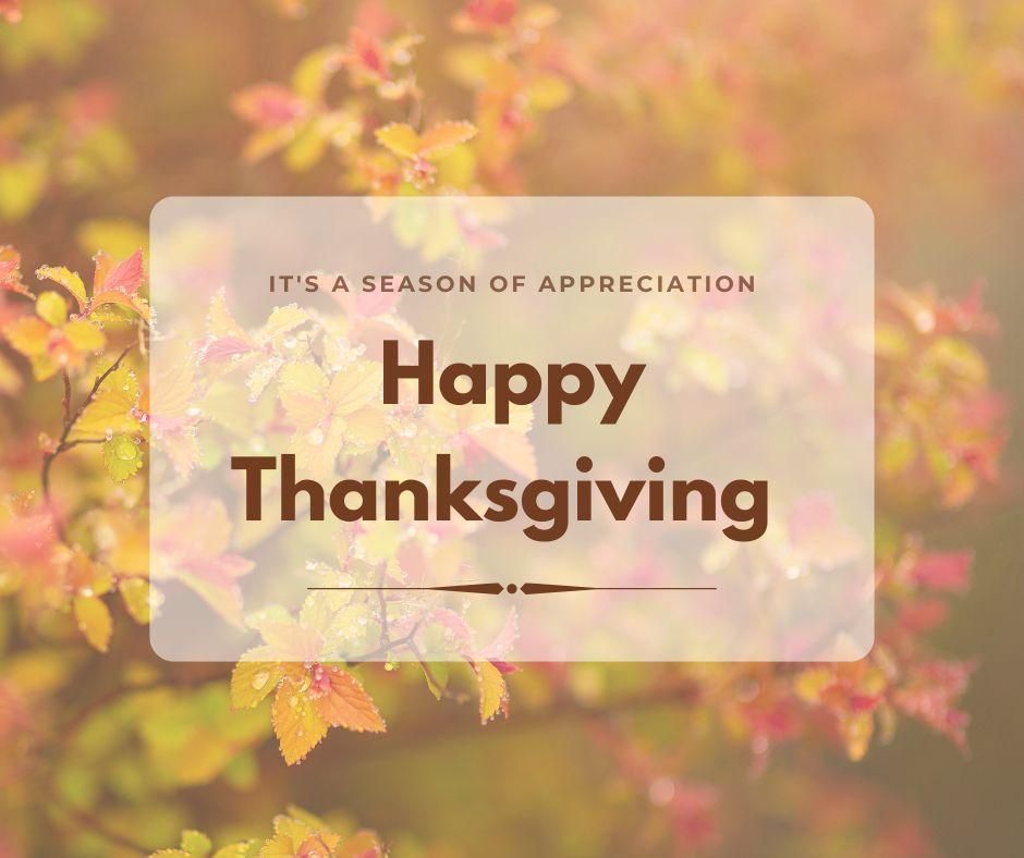 All Photos for Sam's French Drains and Landscape in Orlando, Florida