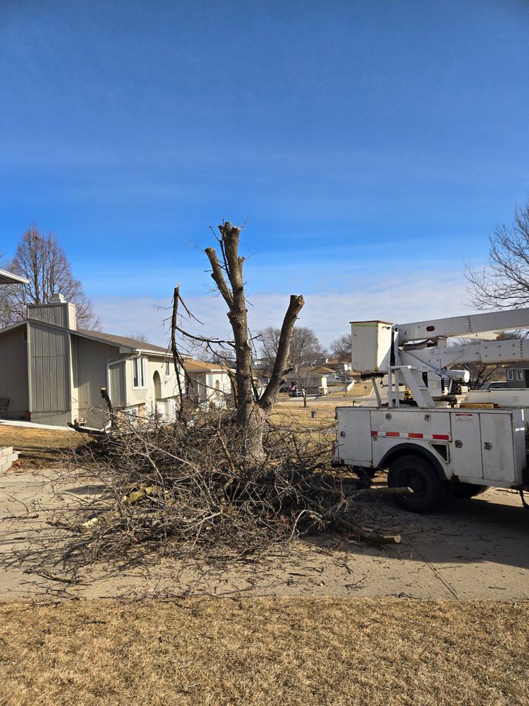 All Photos for Uprooted LLC in Norfolk, NE