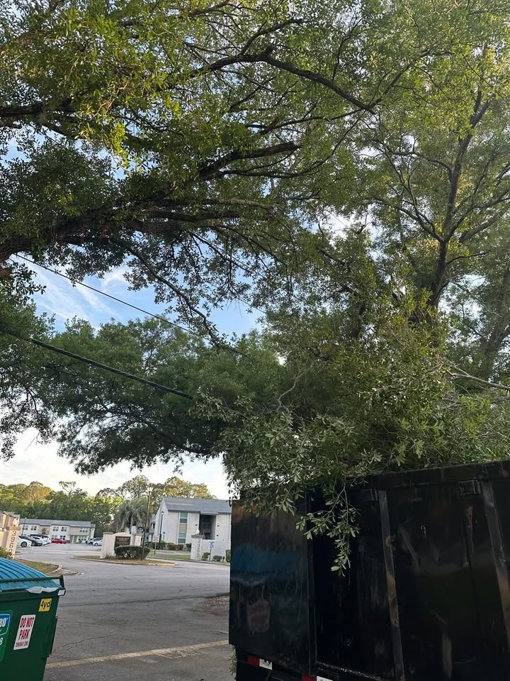 All Photos for All of the Above Landscaping in Orange Park, FL