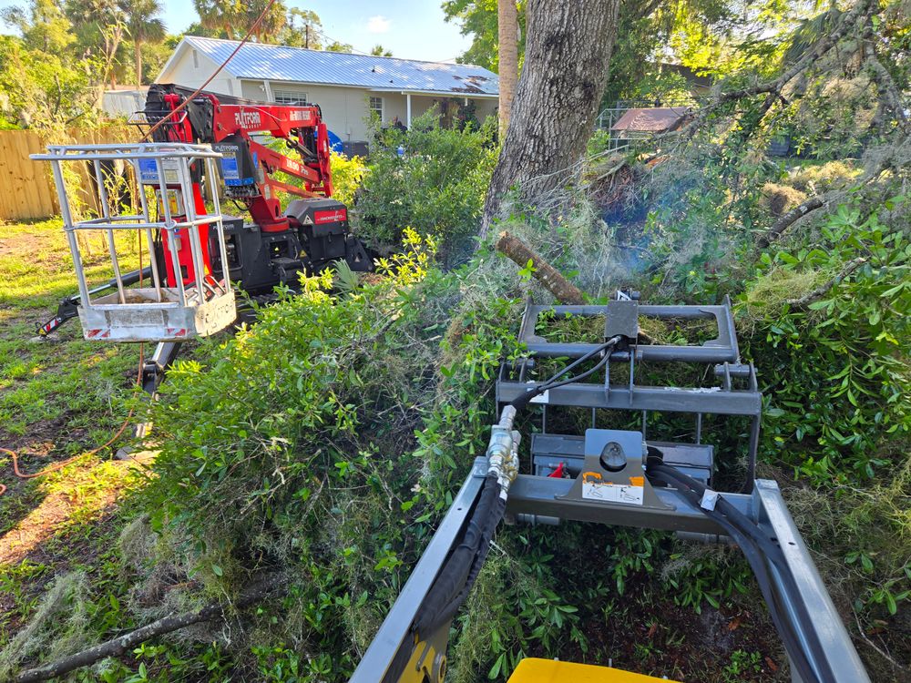 All Photos for Near Me Tree Service, Inc. in DeLand, FL