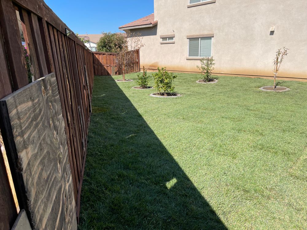 Sod Installations for Aidan Jade Landscaping in Riverside County, CA