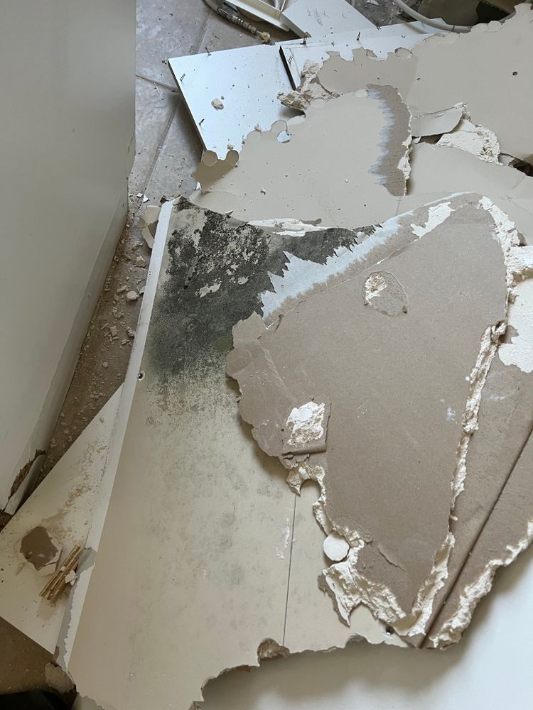 Mold Remediation for N&D Restoration Services When Disaster Attacks, We Come In in Cape Coral,  FL