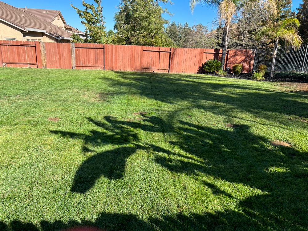 Fall and Spring Clean Up for Folsom Lake Landscaping in El Dorado Hills, CA