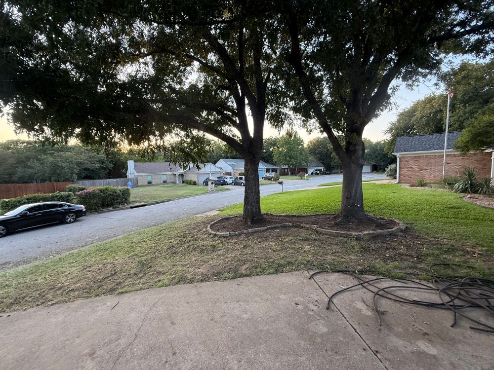 All Photos for Blu-J Tree Care in Arlington, TX