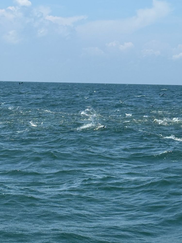 All Photos for LegaSea Construction in Kilmarnock, VA