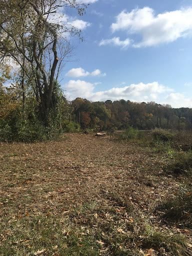 Tree Removal for Tucker's Tree Service and Stump Grinding in Lugoff, SC
