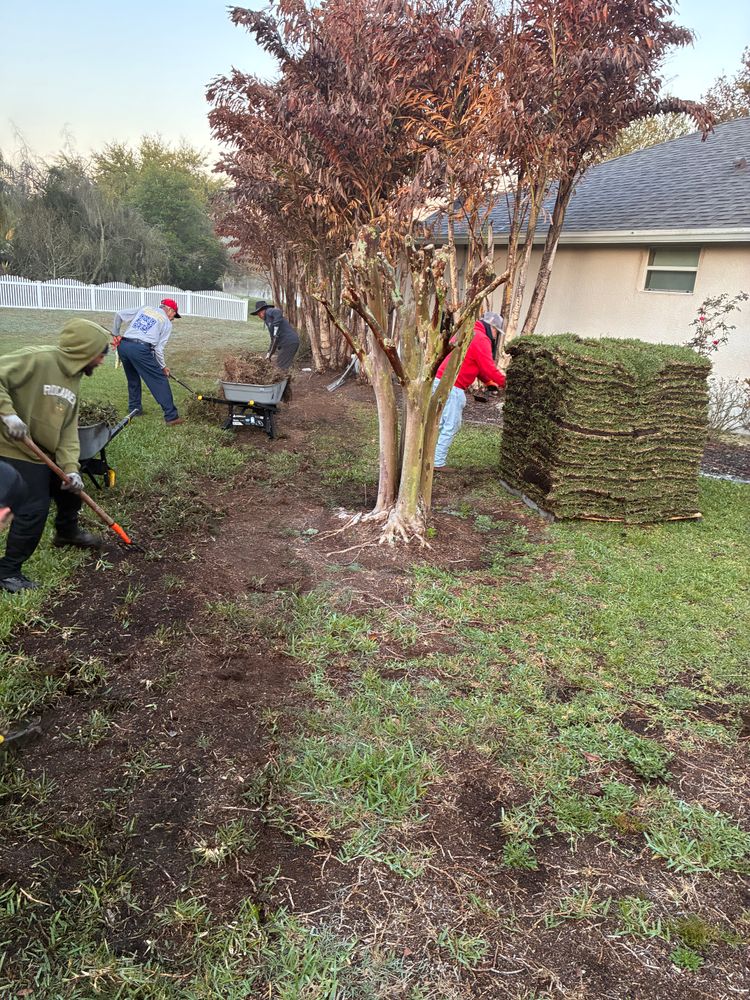 All Photos for Gulf Bay Sod in Clearwater, FL