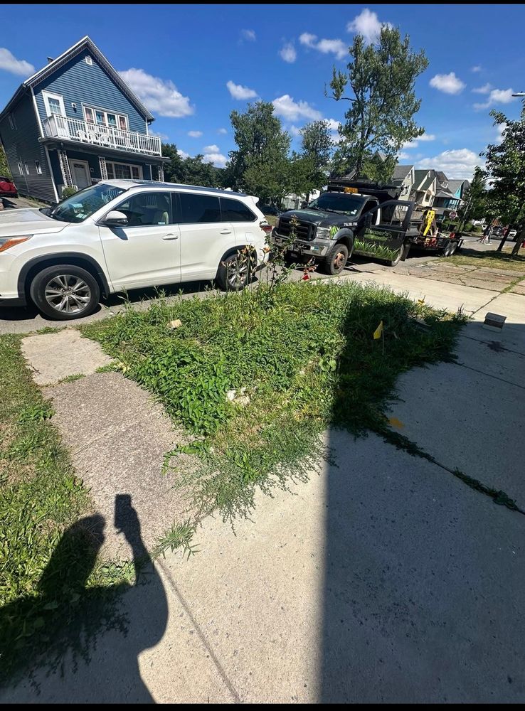 All Photos for Hauser's Complete Care INC in Lancaster, NY