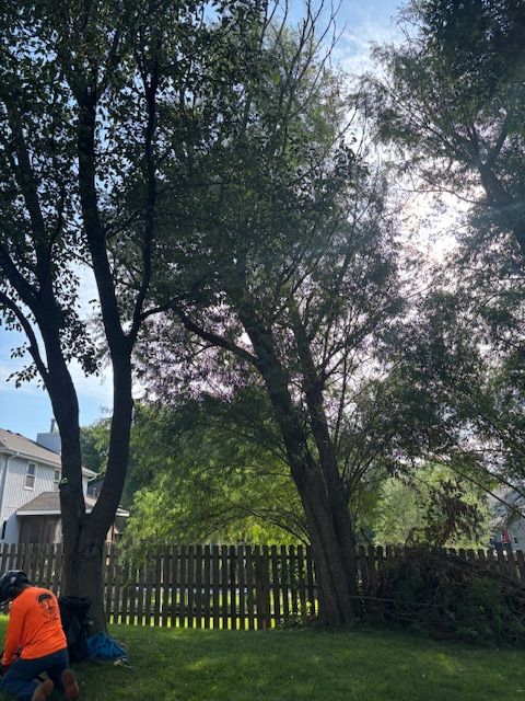 All Photos for Cross Family Tree Service in Kearney, MO