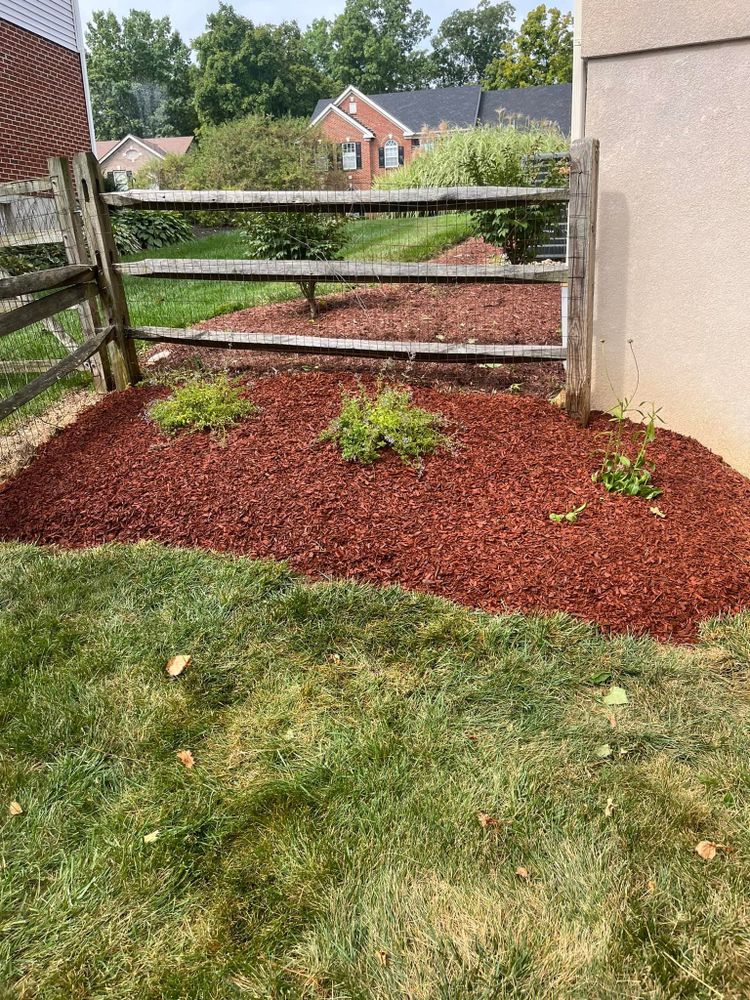 Landscaping for Cincinnati’s Finest Landscape Services LLC in Cincinnati, OH