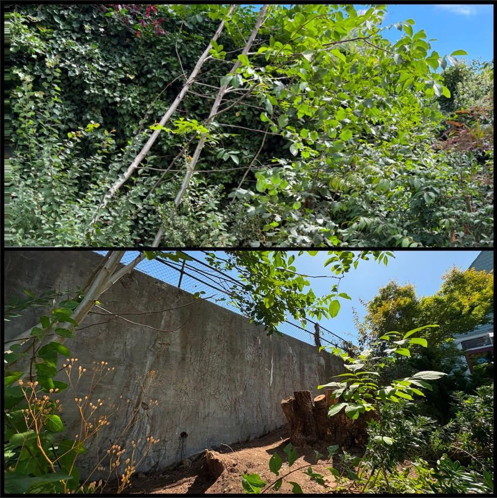 Fall Clean Up for Golovin Property Services LLC in Marysville, WA