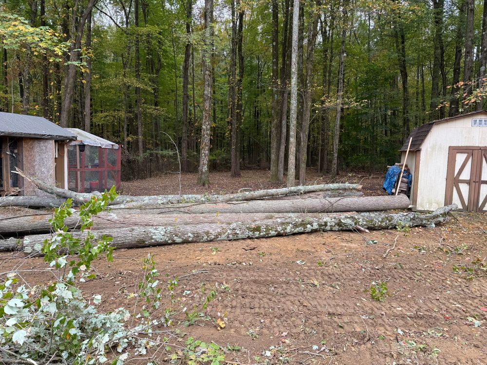 All Photos for Home Perfection LLC in Brick Township, NJ