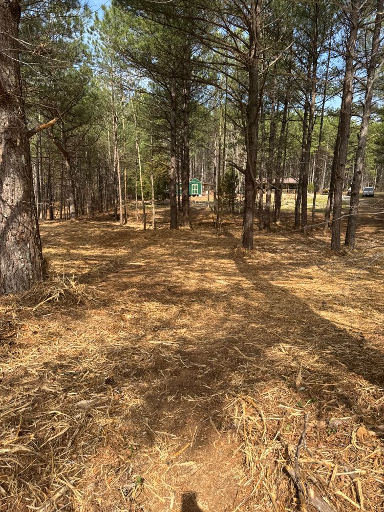 All Photos for Simmons land works in Sardis,, TN