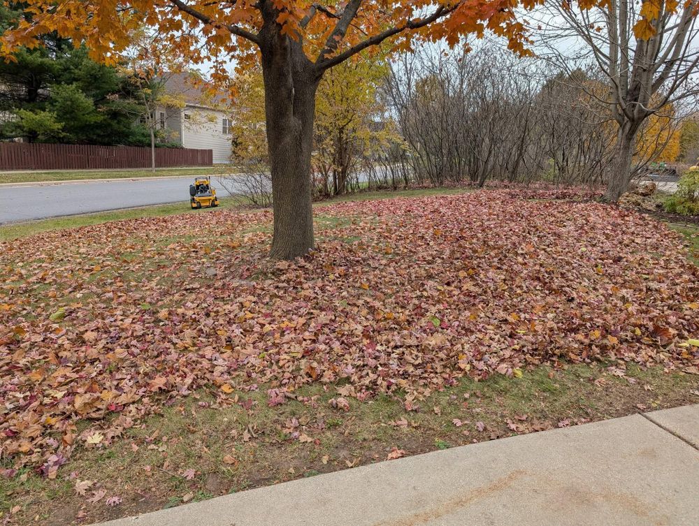 All Photos for TCB Lawn Care & Snow Removal in Sun Prairie, WI