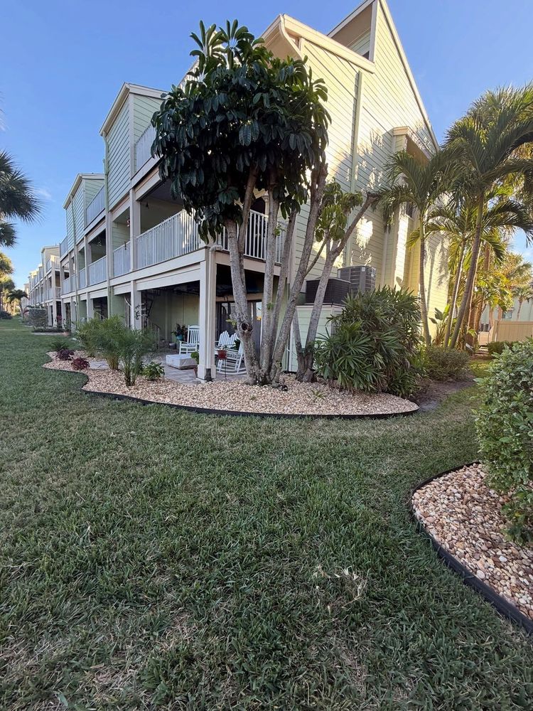 Fall Clean Up for AGT Landscape & Design LLC. in Saint Petersburg, FL