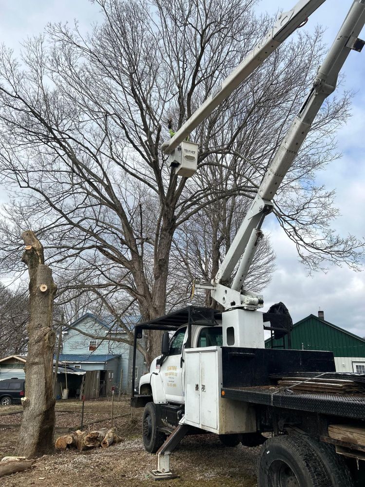 All Photos for Lightning Tree Service in Corydon, IN