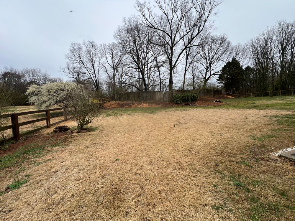 All Photos for Amerigreen Lawn & Landscape in Duluth, GA