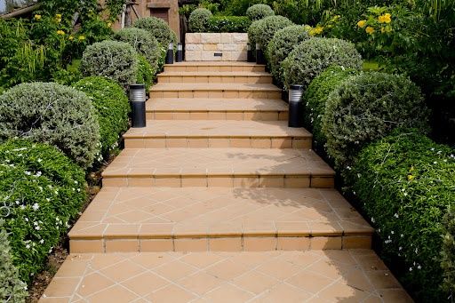 All Photos for Green Lawn Care in Ambler, PA